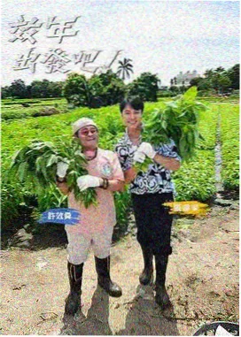 图鉴三：计分板与计时器示意